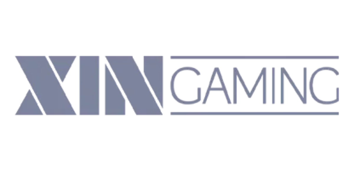 xingaming.webp Logo